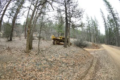 DSC_0053 (Large).JPG